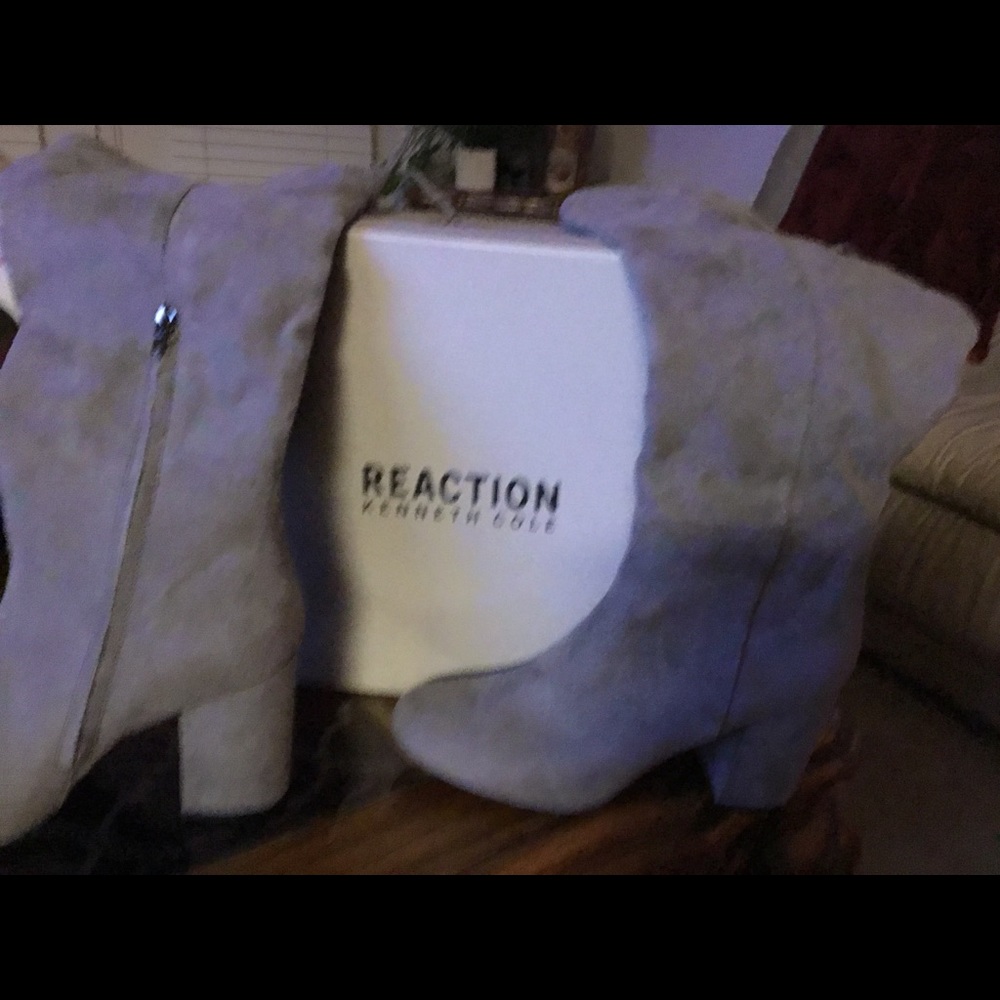 Gray Suede Boots - image 4